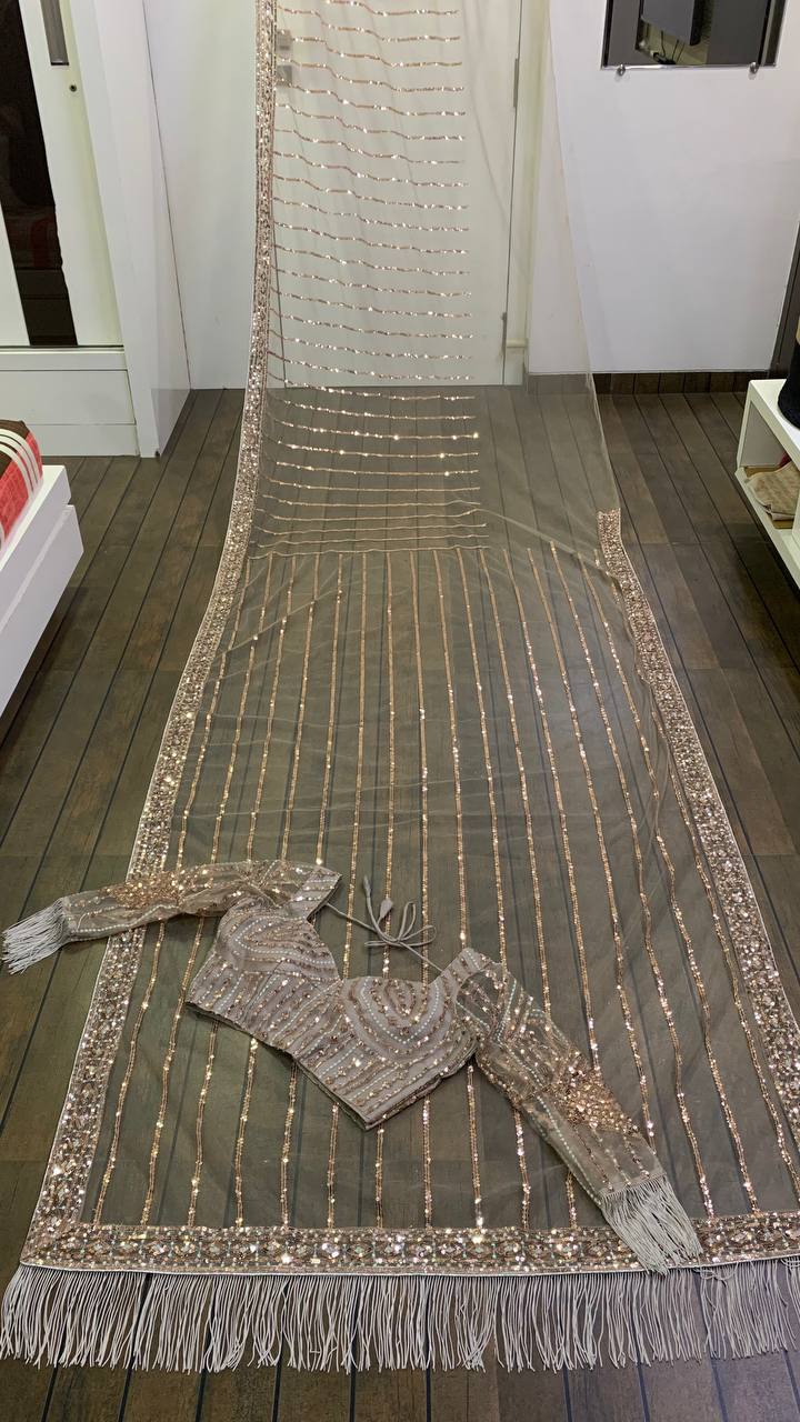 Net saree with sequence , dori & Zari work Saree