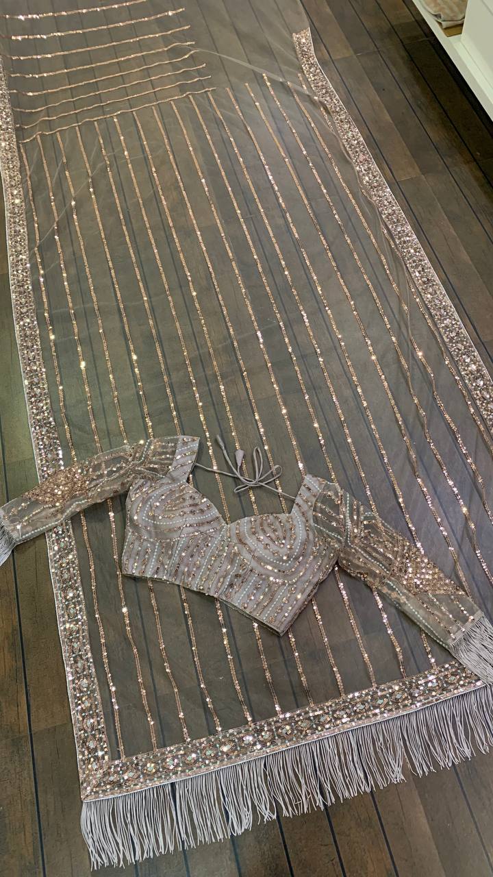 Net saree with sequence , dori & Zari work Saree
