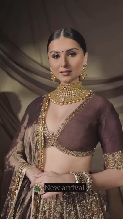 Mocha Brown Thai Silk Lehenga with Intricate Thread Sequin and Dori Embroidery